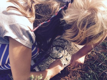 E0203814-C118-4D9B-A62C-51A680EF4885