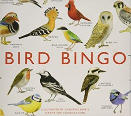 51uqqdvbqal-_sy440_bo1204203200_