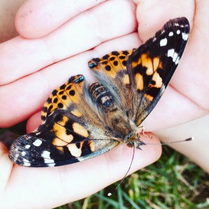 67D0665B-D556-403E-90C2-421BB5111783